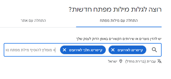 שתי מילות מפתח שהוזנו בשדה החיפוש של הכלי לתכנון מילות מפתח.