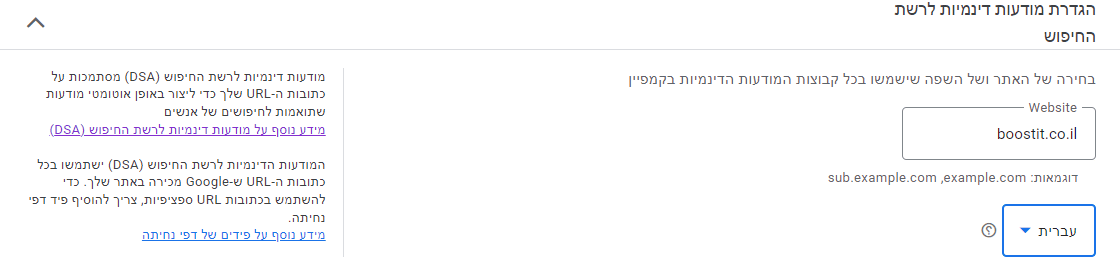 במסך הגדרות הקמפיין, כשתבחרו הגדרת מודעות דינמיות לרשת החיפוש, תזינו בשדה העליון את כתובת הURL של האתר שלכם ומתחת לזה בחרו את השפה של האתר שלכם.