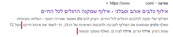 דוגמה למודעה עם תוסף יתרונות מרכזיים. היתרונות המרכזיים מופיעים כשורת תיאור נוספת בהמשך לתיאורי המודעה.