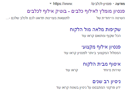 מודעה עם נכס Sitelinks לדוגמה. מתחת לתיאורי המודעה ניתן לראות 4 Sitelinks.